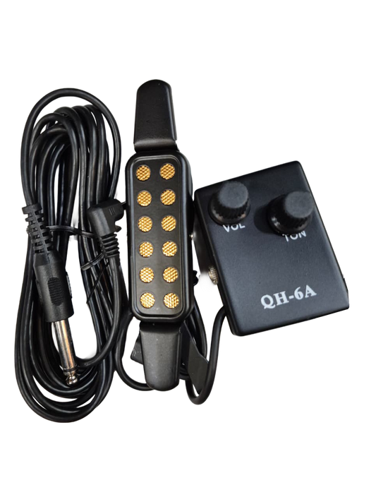 MICROFONO P/GUIT. S/CONTROL