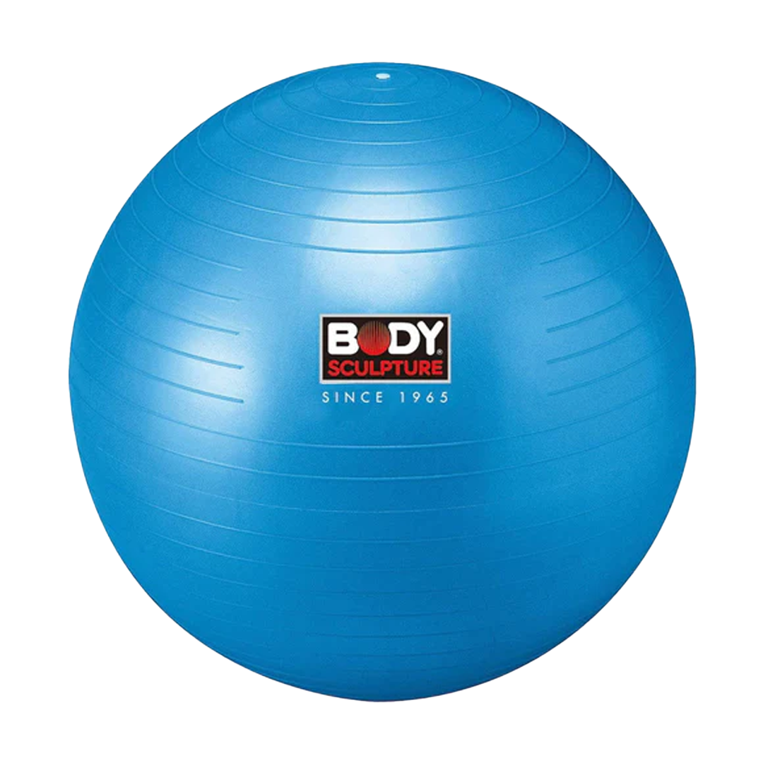 BOLA DE EJERCICIOS